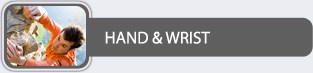 Hand & Wrist - Salvatore Lenzo, M.D.